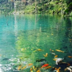Telaga Niren: Oase Biru Nan Jernih di Pelosok Cirebon