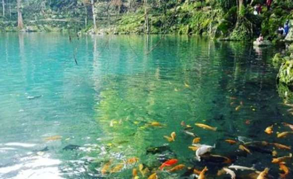Telaga Niren: Oase Biru Nan Jernih di Pelosok Cirebon