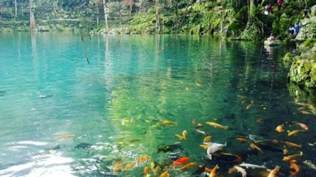 Telaga Niren: Oase Biru Nan Jernih di Pelosok Cirebon