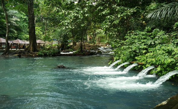 Eksplorasi Alam Lestari Hutan Sesaot di Lombok Barat
